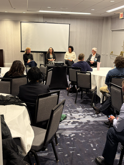 ACRC AI Workshop Panel – Silver Lining Mentoring